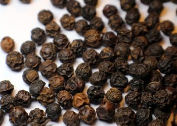 Medicinal Kitchen Part II: Spices