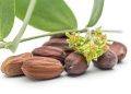 Herbs for Summer Skin Care