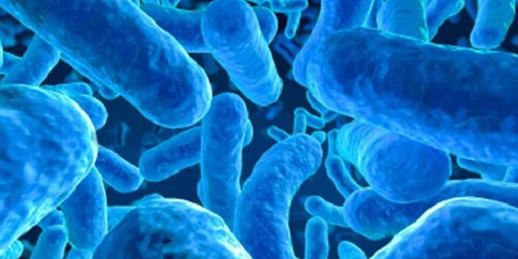 Parasites: Things To Know